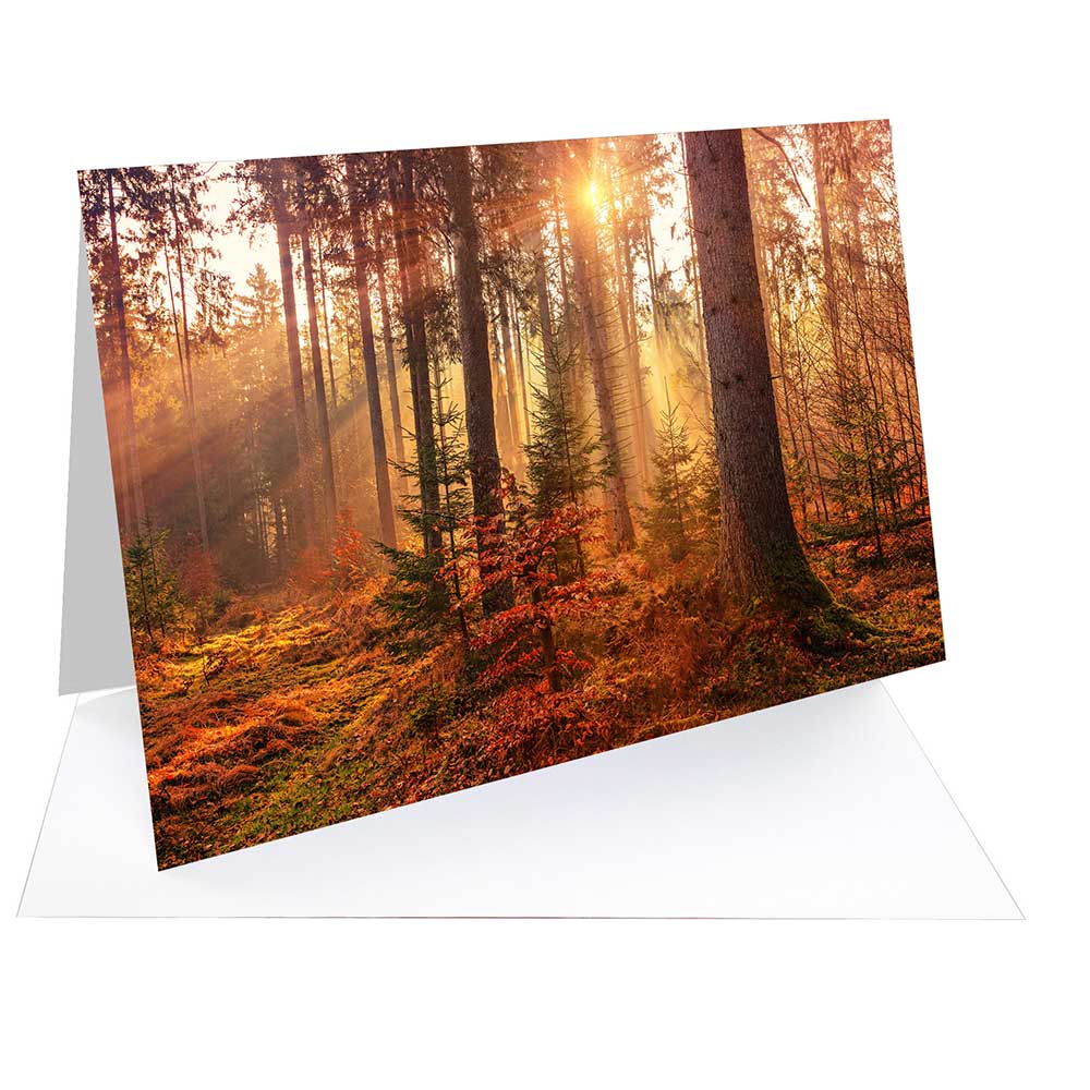 Fotospeed FOTOCARDS Matt Ultra240 A6 50 cards