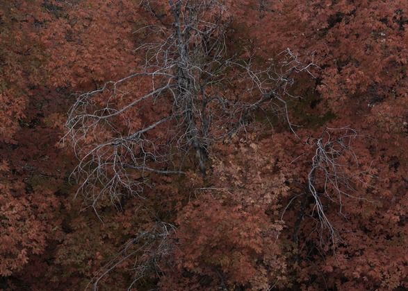 The Landscape Photographers Calendar: what to shoot in October