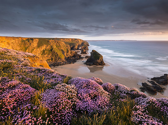 Interview with Ross Hoddinott: How to make a living from Photography
