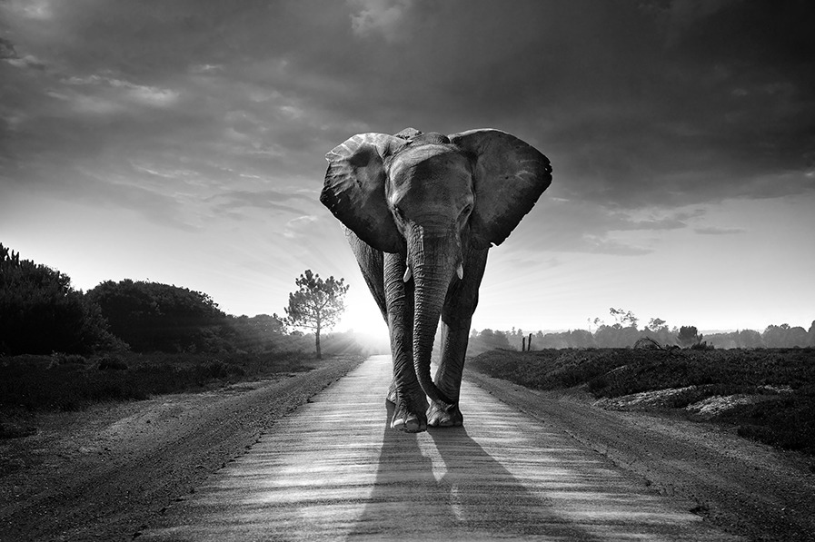 3 Tips to Create Black and White Prints that Really Impress
