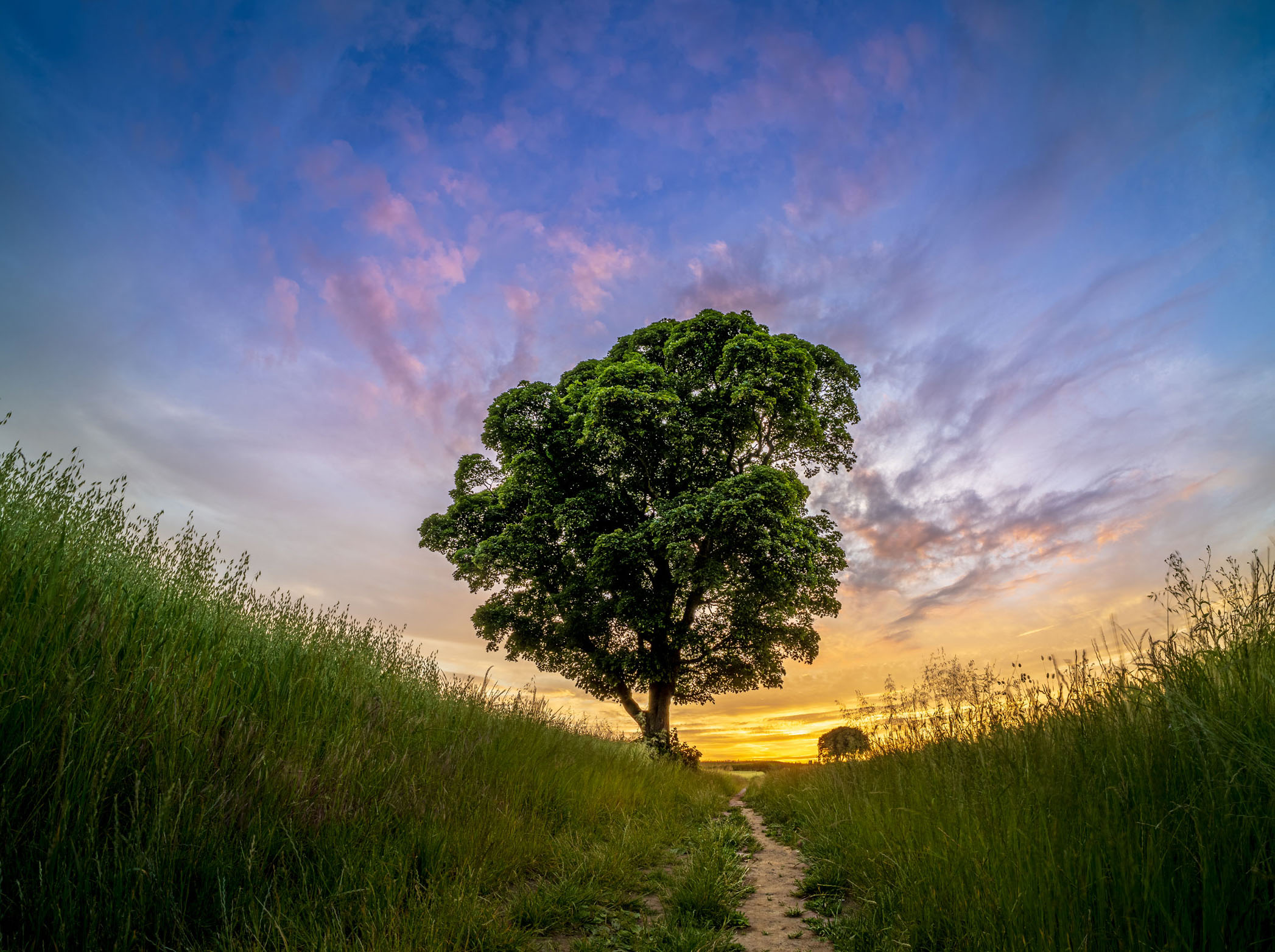 Why it's good to improve photography in your local area