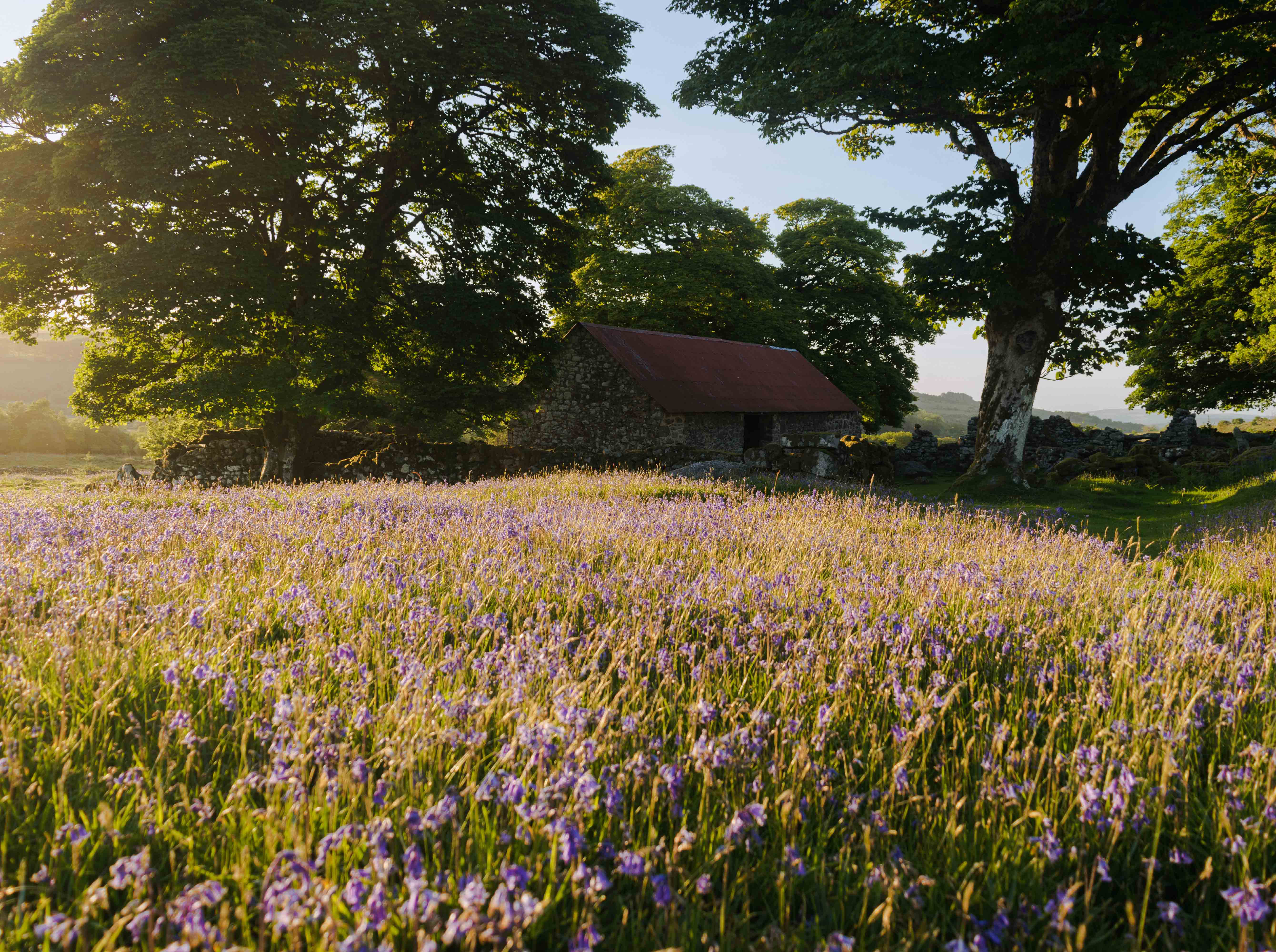 Tips for capturing sunset landscapes in a photograph