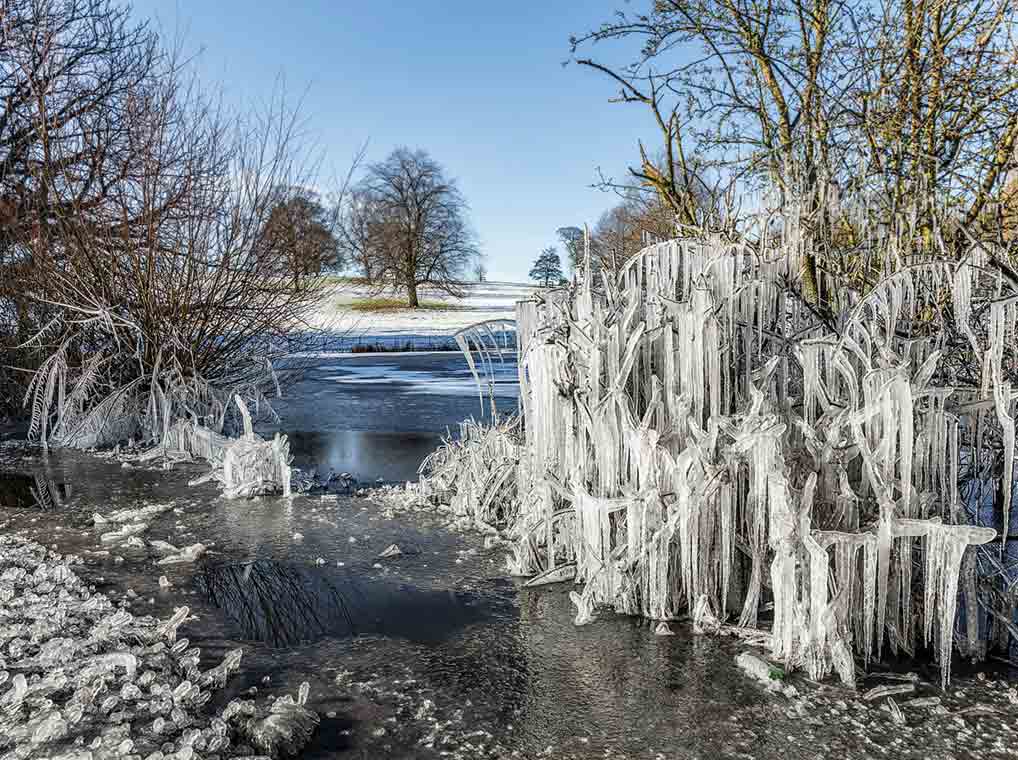 Local Photography - Winter Icicle Photography