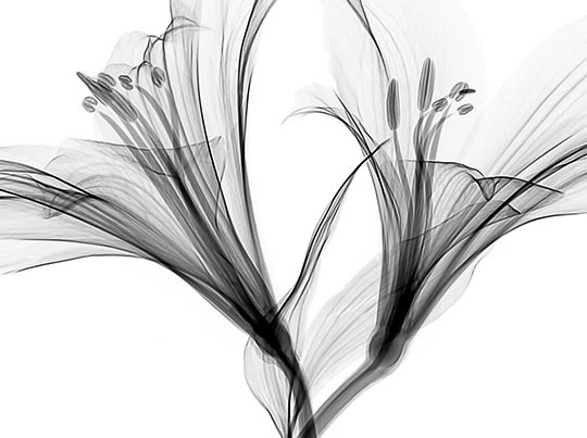 3 thinking points when choosing paper for Black and White: 